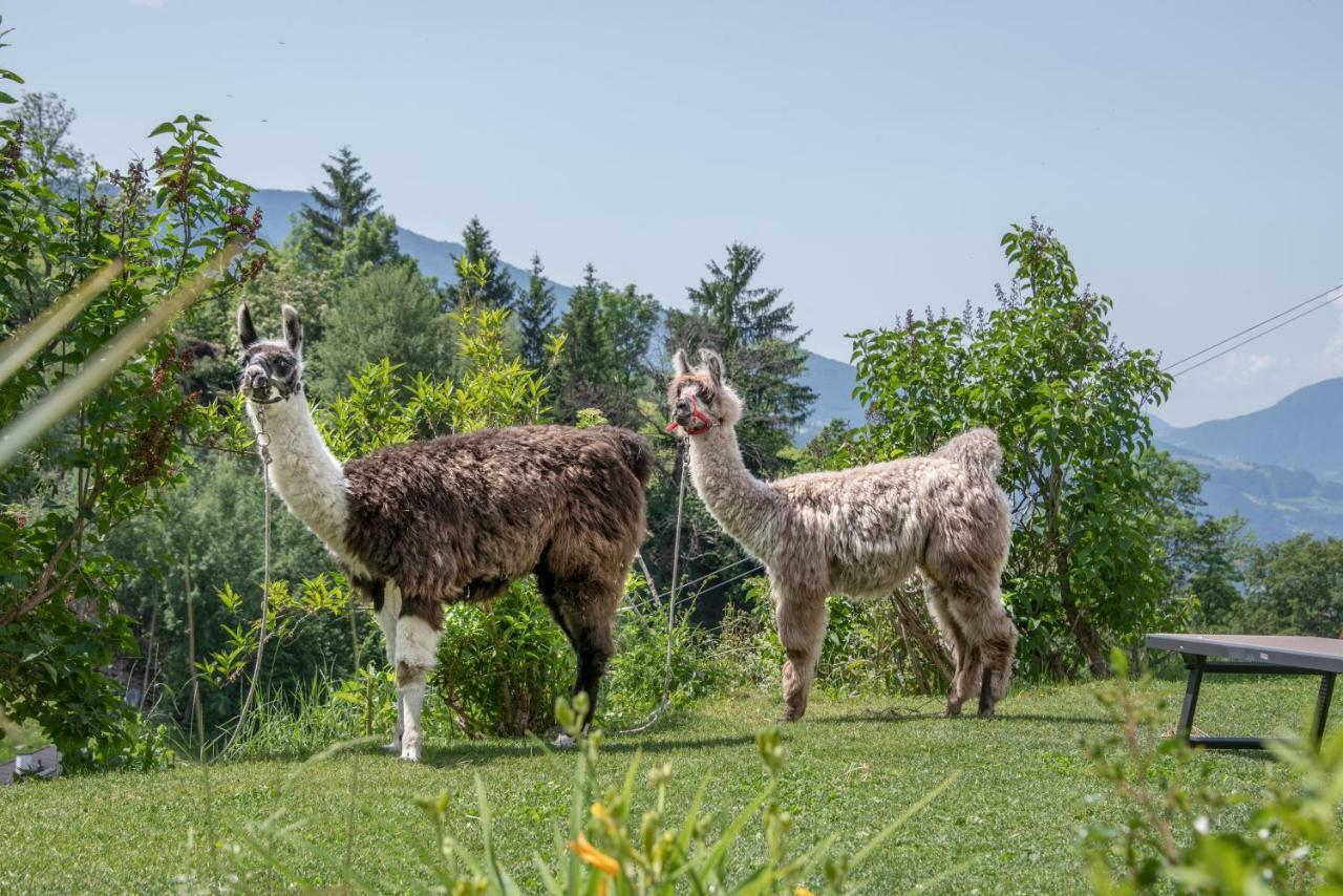 Apartmenthaus Fuchsmaurer Brixen Exteriér fotografie